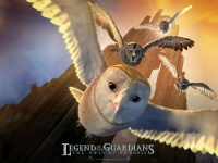 Legend of the Guardians  The Owls of Ga Hoole Wallpaper 3 800